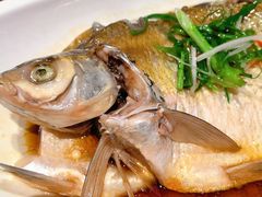 -大中华酒楼·主席武昌鱼·武汉美食地标(江汉路步行街店)