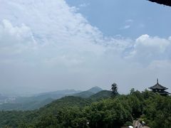 -杭州半山国家森林公园