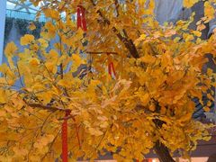 -阿大排档(长春这有山店)