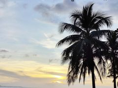 -小海豚•老字号海鲜餐厅(天涯店)