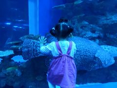 -成都浩海立方海洋公园