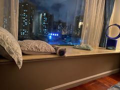 -屋虎猫馆(宝安大仟里店)