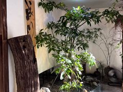 -成川茶店·潮汕工夫浓茶(万象店)