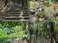 -阳台山森林公园