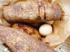 -赵老蒯土窑坑烤
