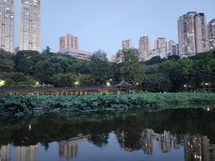 -龙头寺公园