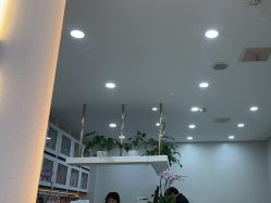 -YESIDO椰岛造型