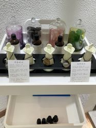 -薇薇安花系SPA