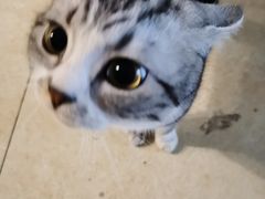 -黑池口感烘焙·生日蛋糕(坂田店)