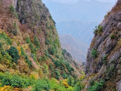 -秦岭天竺山生态文化旅游景区