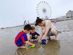 -奉贤海滩