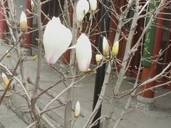 -迎泽公园