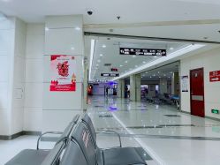 -复旦大学附属妇产科医院(杨浦院区)