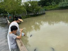 -中国扬子鳄村