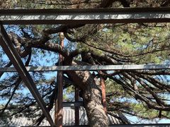 -红螺寺