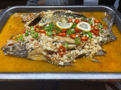 -小杨烤肉(朱雀店)