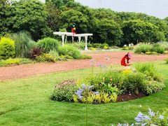 -上海共青森林公园