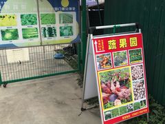 -菊园百果园