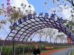 -上海长兴岛郊野公园