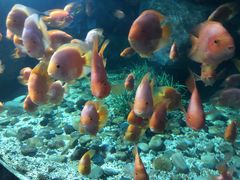 -福州罗源湾海洋世界旅游区