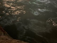 -青城道汤池