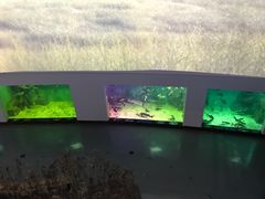 -上海长江河口科技馆