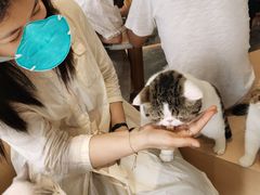 -瞄一喵猫咖(格力海岸店)
