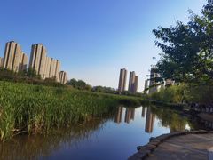 -前关湿地公园