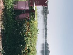 -西部兰花园生态园