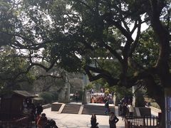-普陀山风景名胜区-法雨禅寺