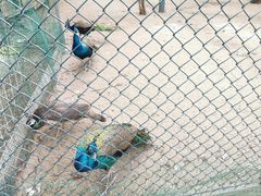 -静之湖湖畔餐厅