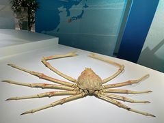 -中国湿地博物馆