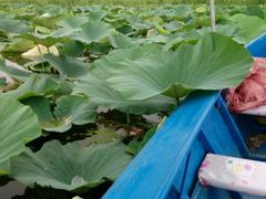 -沈阳辉山风景区