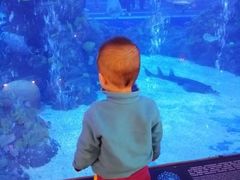 -成都浩海立方海洋公园