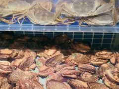 -冀粤香海鲜自助餐厅(西美五洲店)