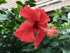 -王家小院老菜馆(民丰大街店)