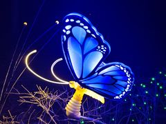 -长春市南湖公园