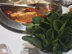 -千牛将·鲜牛肉火锅(开元路店)