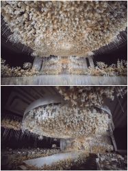 -青岛sunny喜铺婚礼策划(名汇国际店)