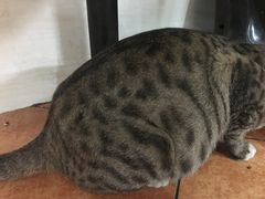 -合味道娟姨美食(堑头店)