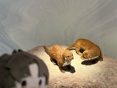 -中国湿地博物馆