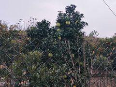 -雨花胜境
