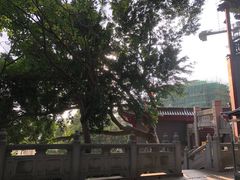 -鸿山公园