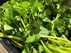 -肥仔文澳门猪骨煲(南京西路店)