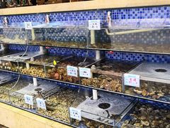 水产区-睿柏云酒店-餐厅