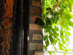 -西关84·History·Art·Cafe