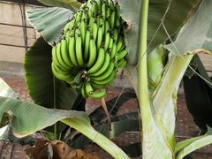 -万源龙顺度假庄园生态观光园