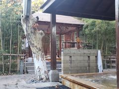 -春晖园度假酒店温泉