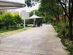 -新江湾城公园