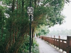 -成都市活水公园